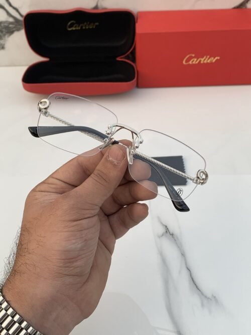 Branded Sunglasses 246_silver_plano (With Original Kit)