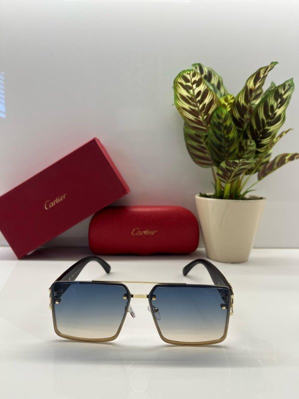 Branded Ctier Sea Green Sunglasses EW (With Original Kit) - Image 2